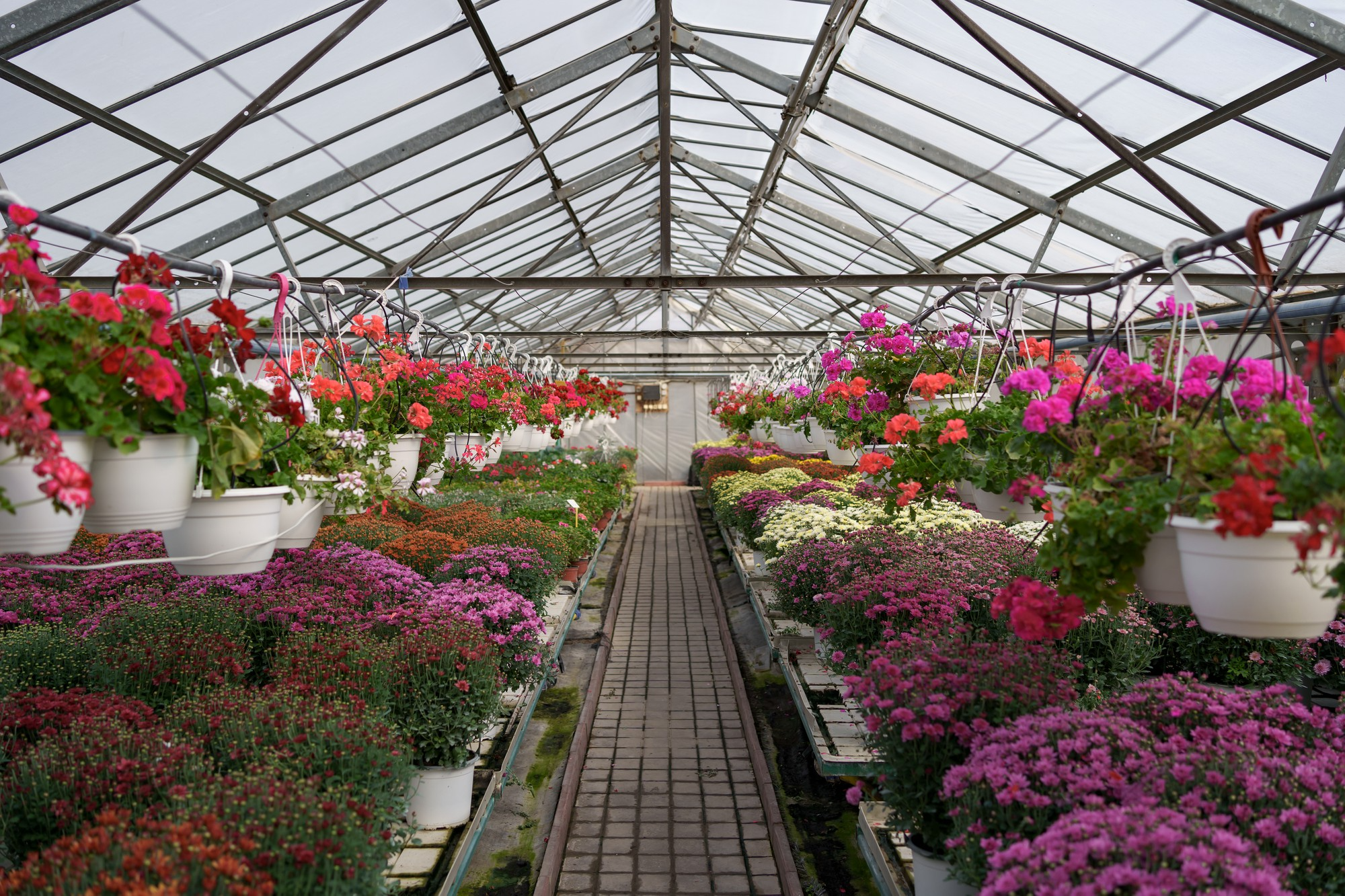Everything You Need to Know About Garden Centres 